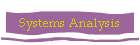 Systems Analysis